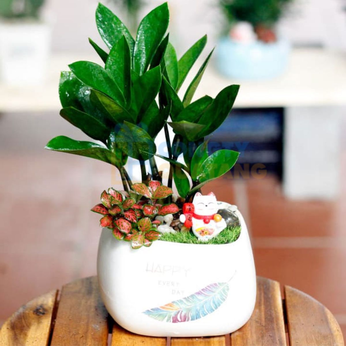 Chậu cây để bàn làm việc 