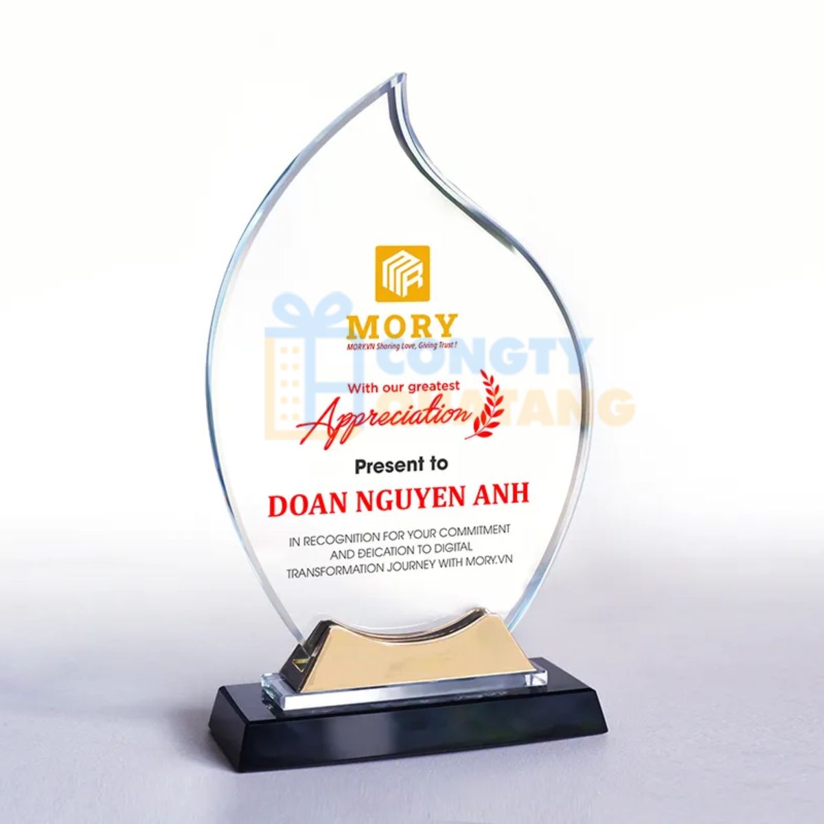 Kỷ niệm chương làm quà tặng kỷ niệm 20 năm thành lập trường