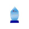 Kỷ niệm chương vinh danh nhân viên PL-115