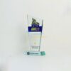 Kỷ niệm chương hình chữ V pha lê PL-118