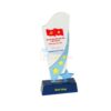 Kỷ Niệm Chương Đại Hội Đảng, Đoàn Các Cấp PL-119
