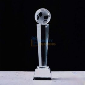 Kỷ niệm chương bóng đá PL-131