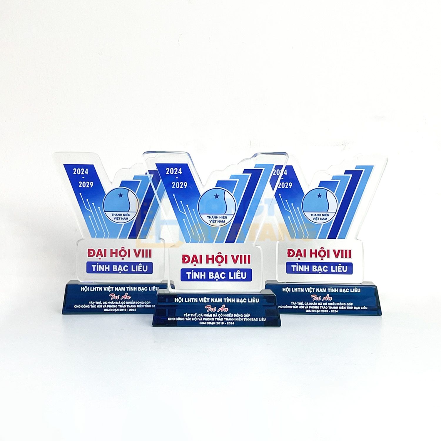 Xưởng sản xuất kỷ niệm chương theo yêu cầu, giá chỉ từ 1000.000đ tại TP.HCM - Congtyquatang.com.vn