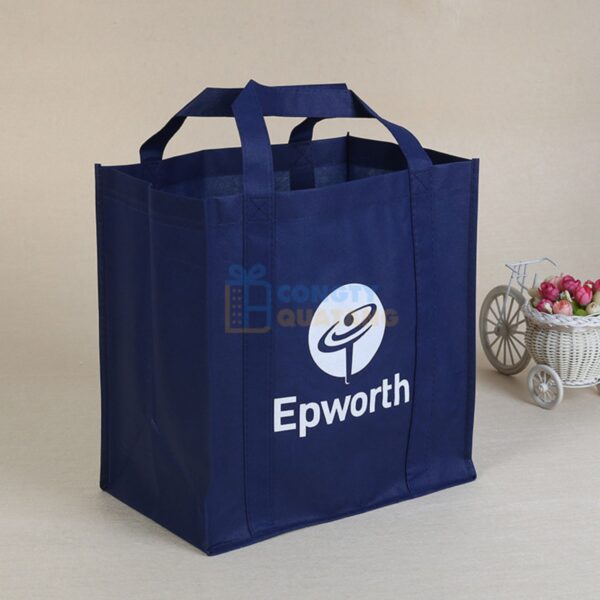 Túi không dệt đựng quần áo với thiết kế bắt mắt