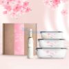Set Quà Tặng 20/10 Hộp Cơm Thủy Tinh, Dù SQ2021