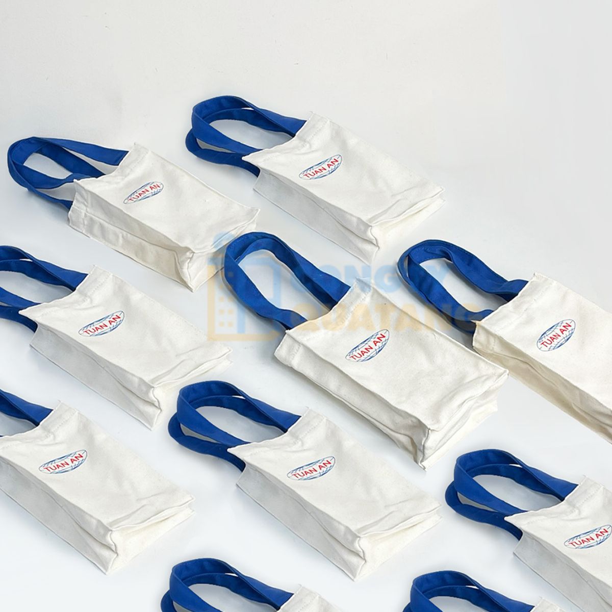 Túi quà tặng là giải pháp tối ưu cho nhiều doanh nghiệp khi tổ chức sự kiện, chương trình 