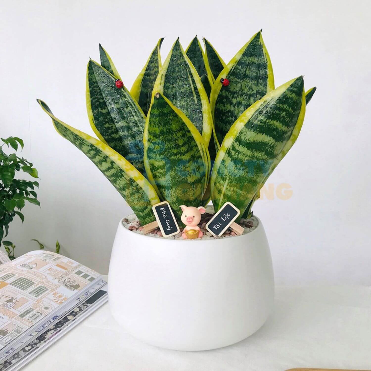 Gợi ý 11 quà tặng bác sĩ sang trọng và giàu ý nghĩa - congtyquatang.com.vn