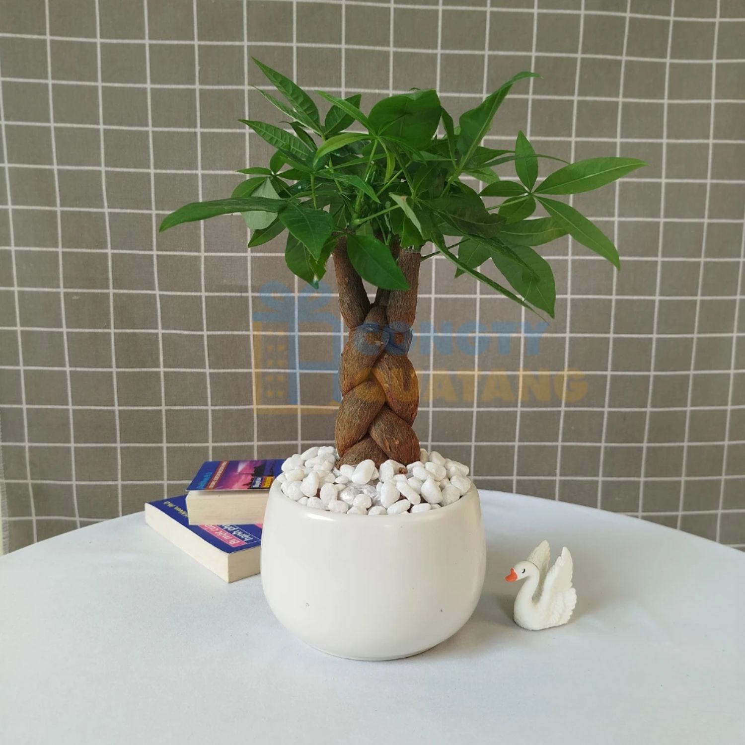 Top 10 món quà tặng ngày thầy thuốc Việt Nam ý nghĩa, thiết thực - congtyquatang.com.vn