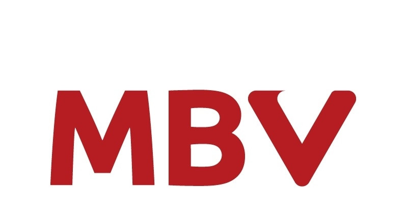 Phiên bản logo MBV màu tiêu chuẩn