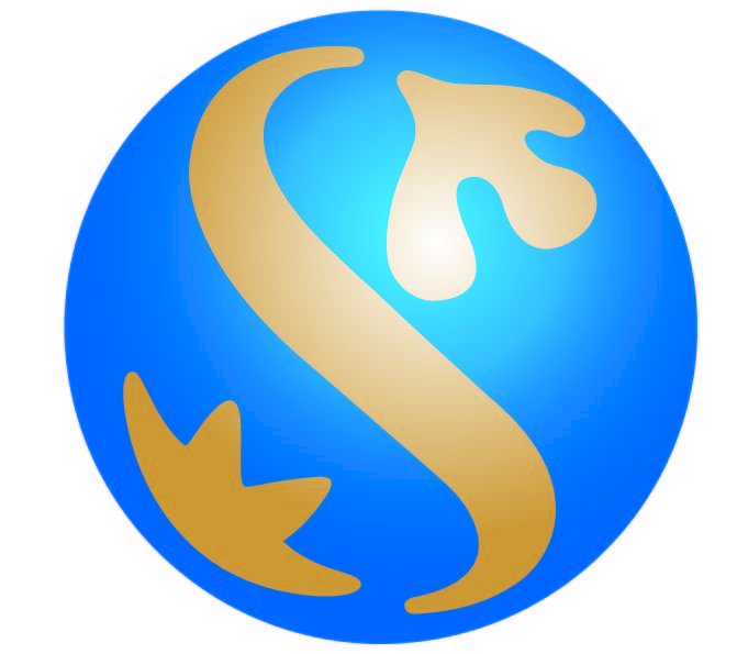 Tổng quan logo Shinhan Bank chuẩn nhận diện thương hiệu