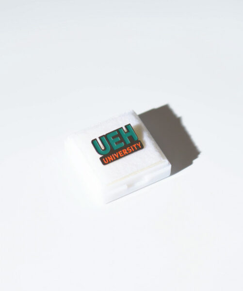 Bạn nên sử dụng logo UEH mới nhất, tránh làm sai bộ nhận diện thương hiệu