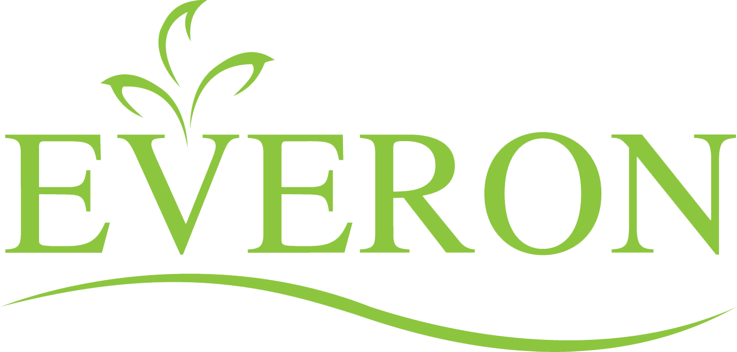 Logo Everon vector chuẩn tách nền