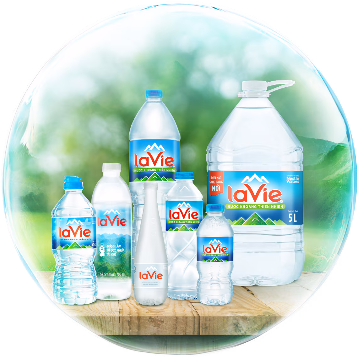 Ứng dụng logo Lavie trên ấn phẩm truyền thông