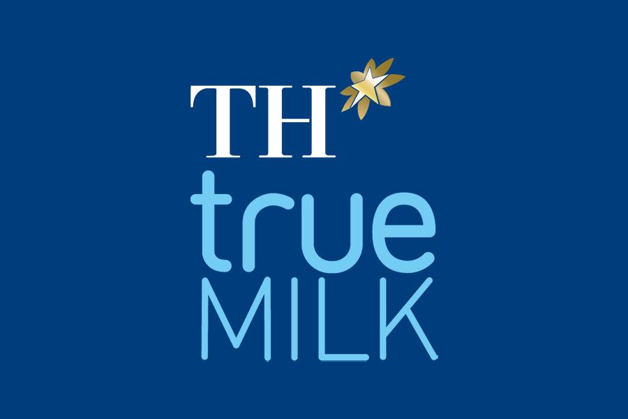 Logo TH true MILK định dạng vector AI đảm bảo độ sắc nét tuyệt đối khi in ấn trên mọi kích thước