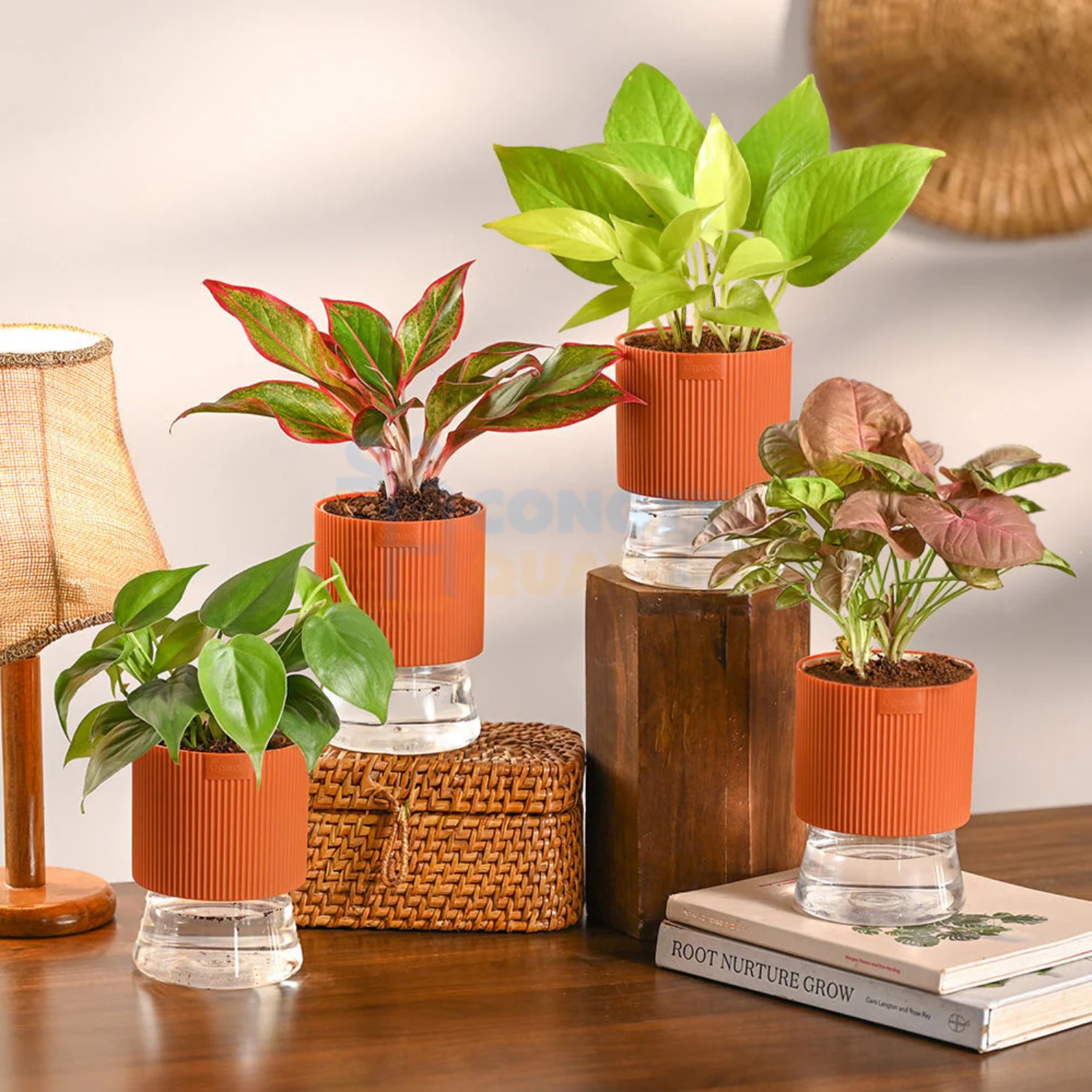 Memorable vendor appreciation gifts that brighten workspaces and symbolize growth